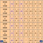 Sridevi Panel Chart: Your Guide to Analyzing Satta Matka Results
